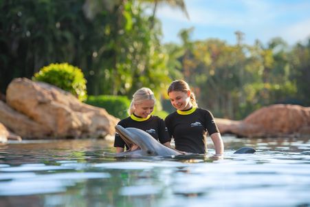 Discovery Cove