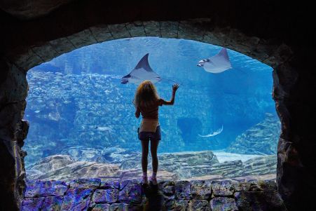 SeaWorld